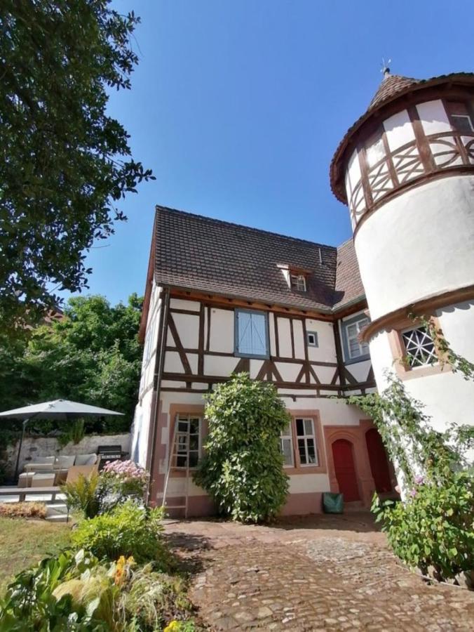 Maison Kobold Xvie Siecle Wissembourg Ngoại thất bức ảnh