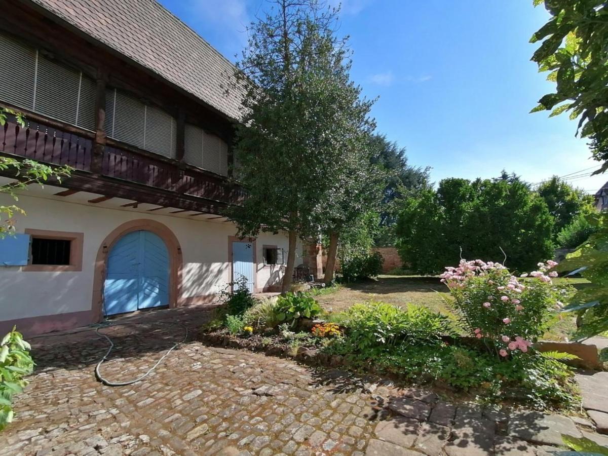 Maison Kobold Xvie Siecle Wissembourg Ngoại thất bức ảnh