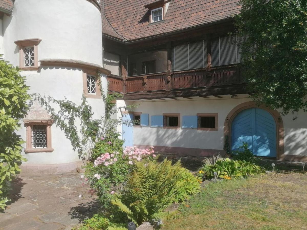 Maison Kobold Xvie Siecle Wissembourg Ngoại thất bức ảnh