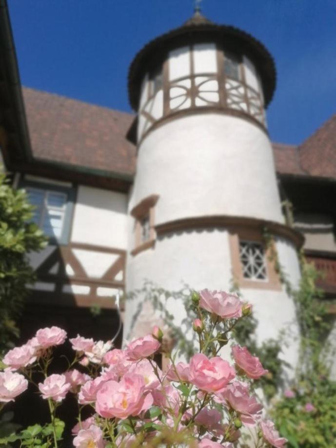 Maison Kobold Xvie Siecle Wissembourg Ngoại thất bức ảnh