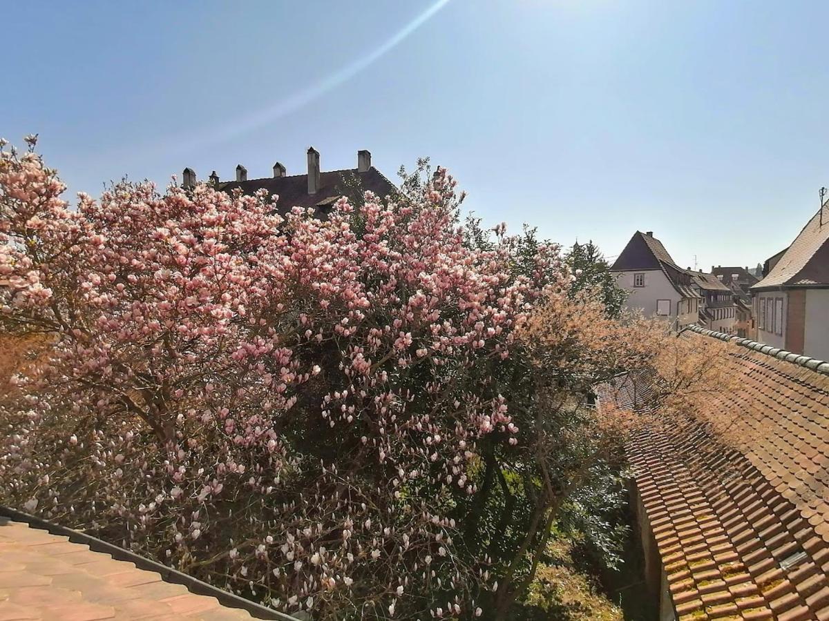 Maison Kobold Xvie Siecle Wissembourg Ngoại thất bức ảnh