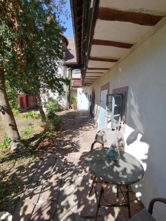 Maison Kobold Xvie Siecle Wissembourg Ngoại thất bức ảnh