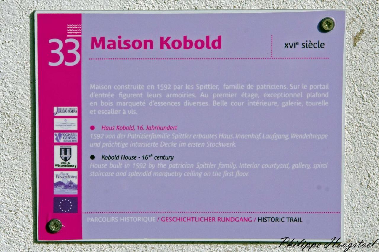 Maison Kobold Xvie Siecle Wissembourg Ngoại thất bức ảnh